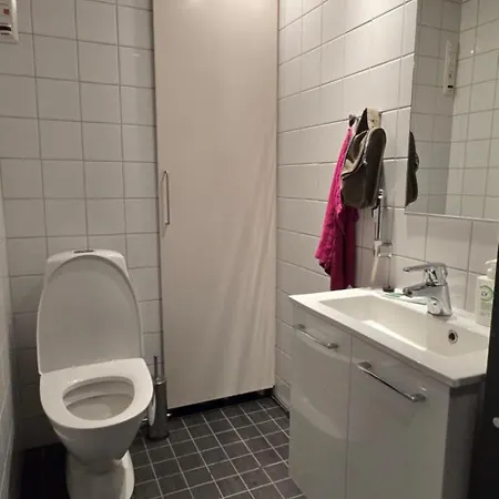 Arctic Iisakki Villa *