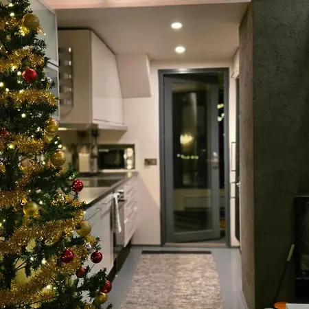 Arctic Iisakki Villa *